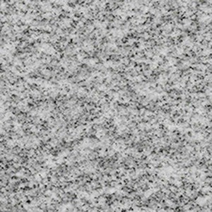 Shell Grey granite